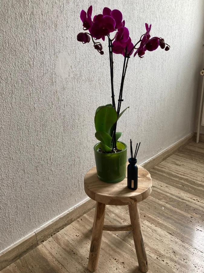 Rustig Appartement In Het Groen Met Terras Kontich المظهر الخارجي الصورة